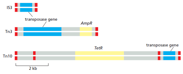 Figure 5-60.png